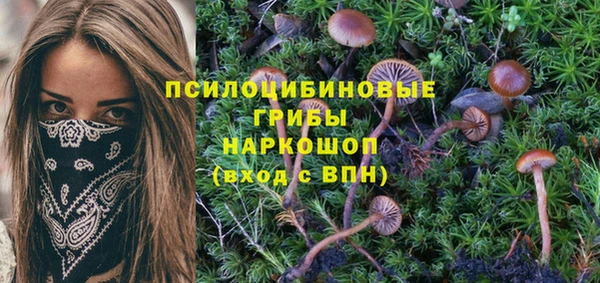 гашиш Арсеньев