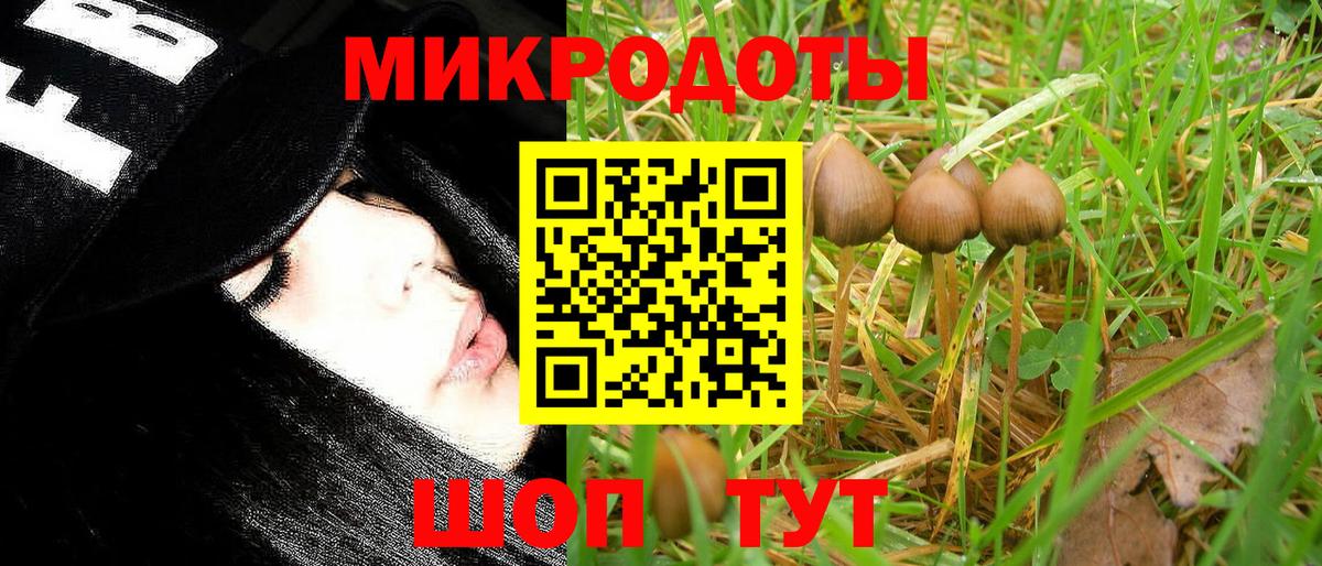 Усть-Илимск  Галлюциногенные грибы Cubensis  Вход с VPN 