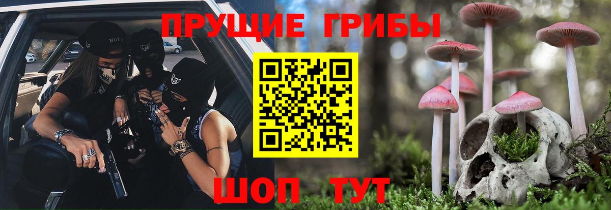Галлюциногенные грибы прущие грибы Усть-Илимск
